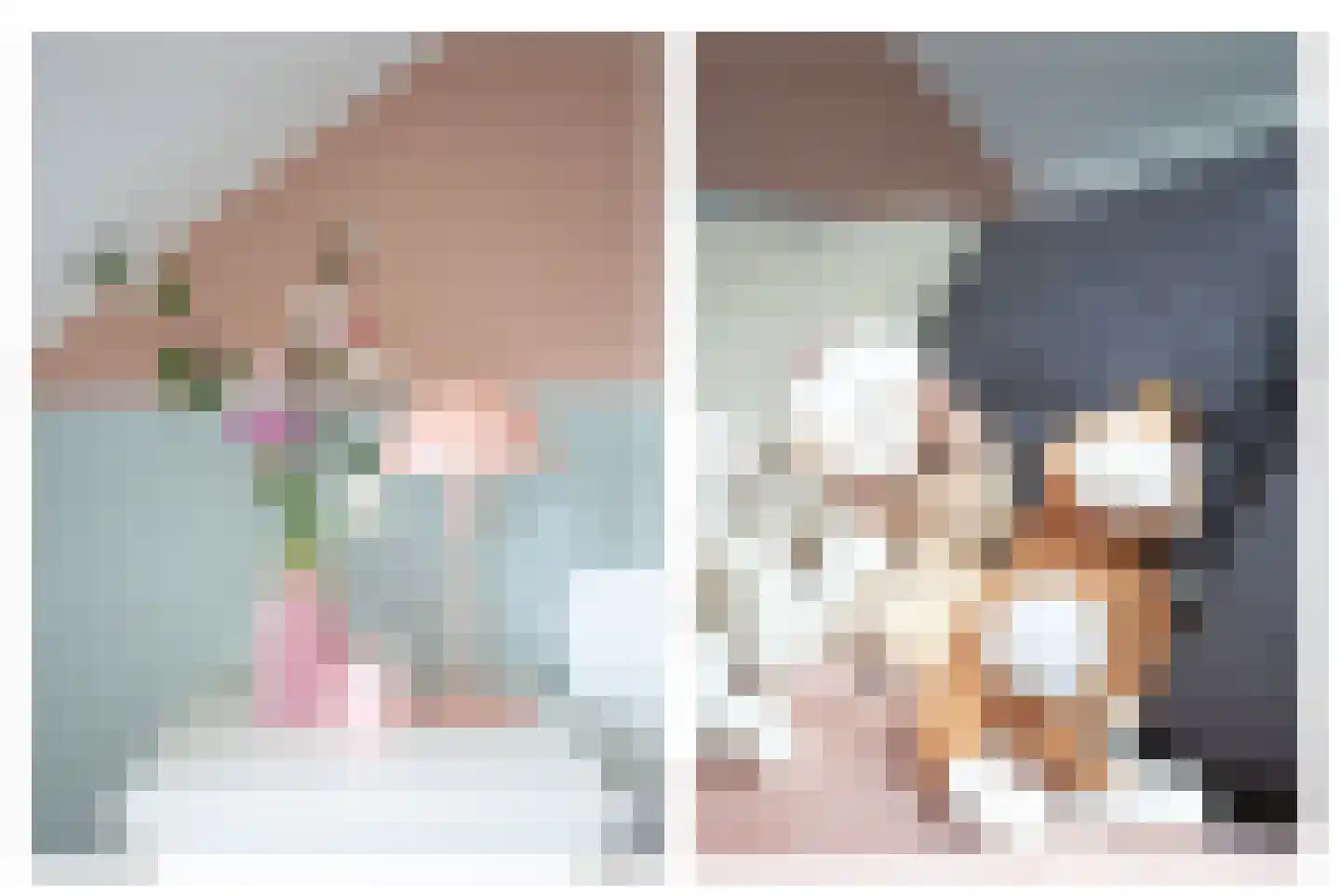 Notarisappel 28 Andijk thumbnail 64