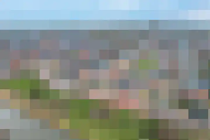 Notarisappel 28 Andijk thumbnail 66