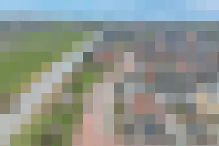 Notarisappel 28 Andijk thumbnail 67