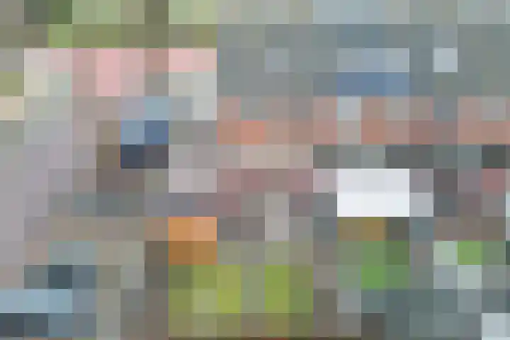 Notarisappel 28 Andijk thumbnail 69
