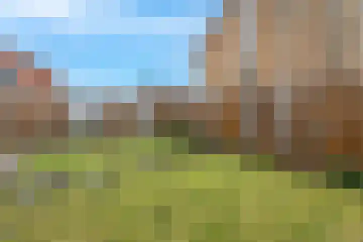 Notarisappel 28 Andijk thumbnail 71