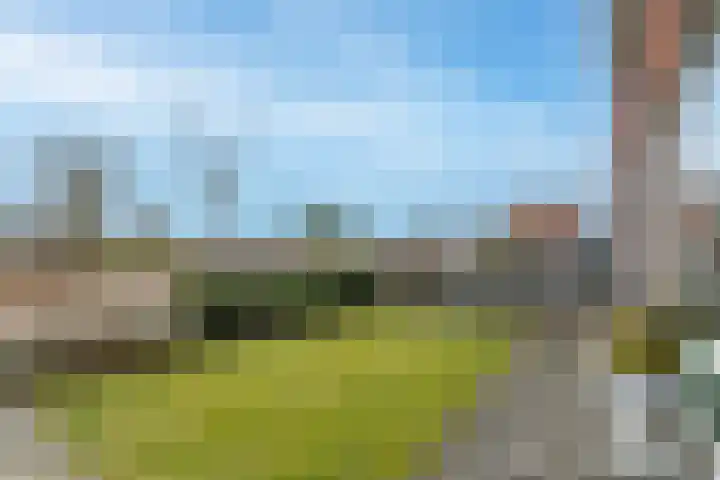 Notarisappel 28 Andijk thumbnail 76