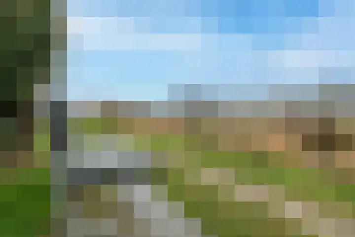 Notarisappel 28 Andijk thumbnail 78