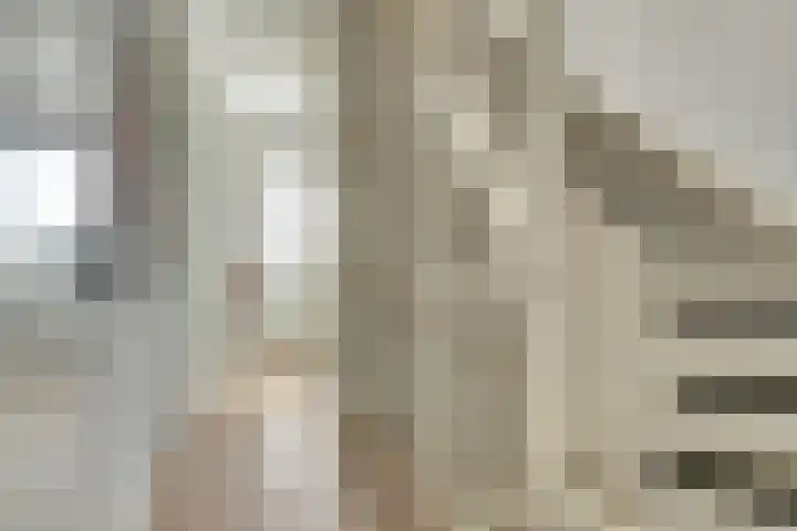 Notarisappel 30 Andijk thumbnail 14