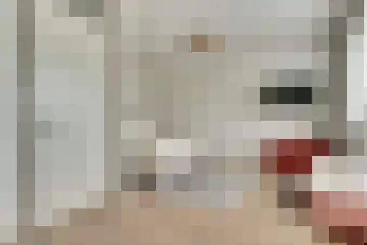 Notarisappel 30 Andijk thumbnail 15