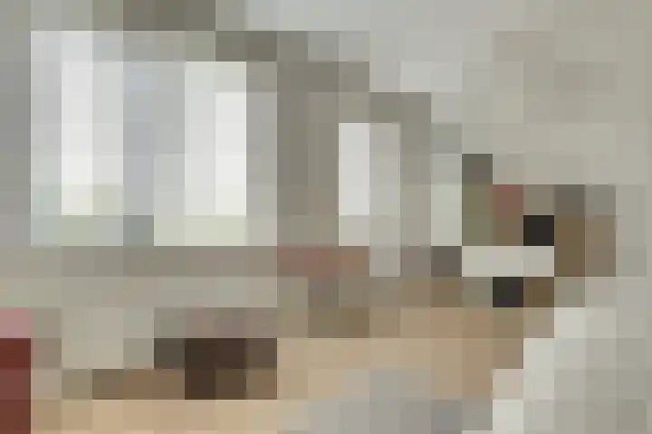 Notarisappel 30 Andijk thumbnail 16
