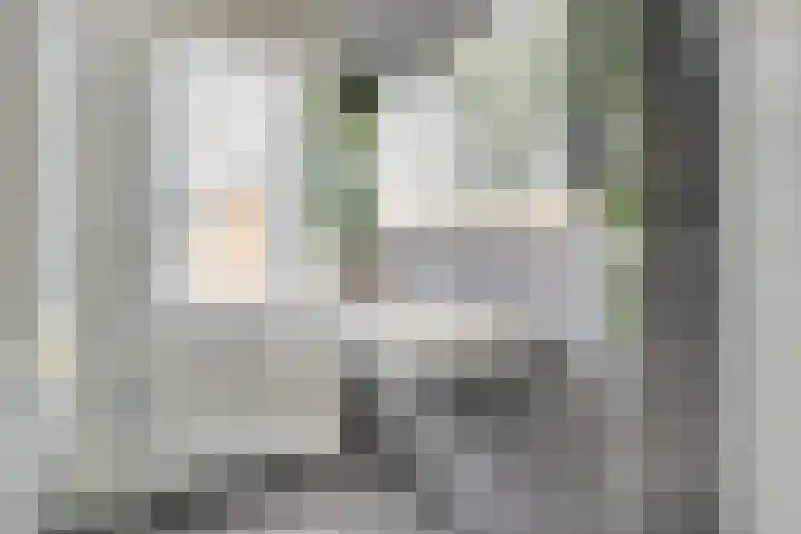 Notarisappel 30 Andijk thumbnail 19