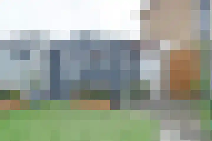 Notarisappel 30 Andijk thumbnail 28