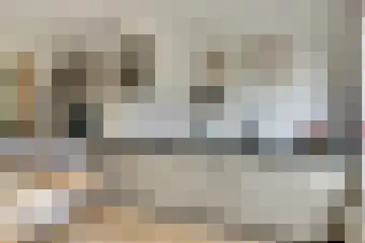 Notarisappel 30 Andijk thumbnail 5