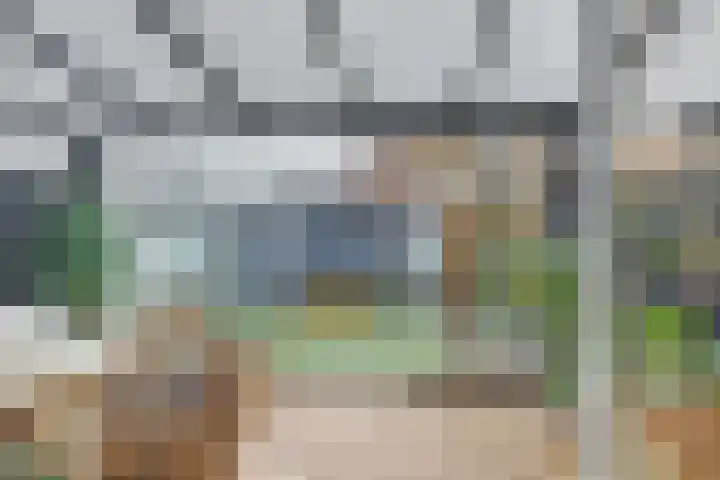 Notarisappel 30 Andijk thumbnail 8