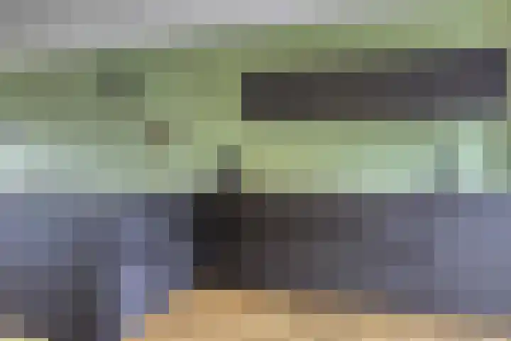 Notarisappel 36 Kampen thumbnail 10