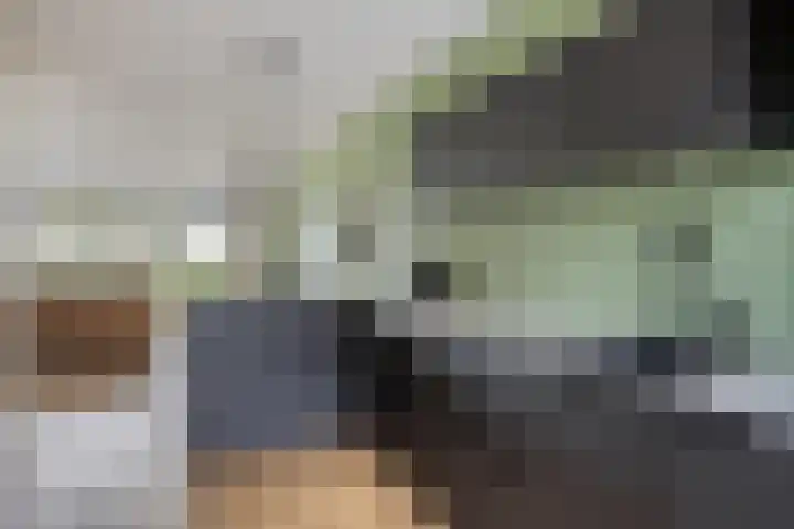 Notarisappel 36 Kampen thumbnail 11