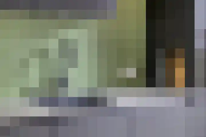 Notarisappel 36 Kampen thumbnail 12