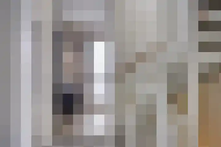 Notarisappel 36 Kampen thumbnail 15