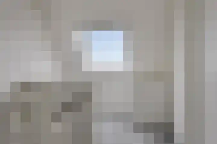 Notarisappel 36 Kampen thumbnail 21