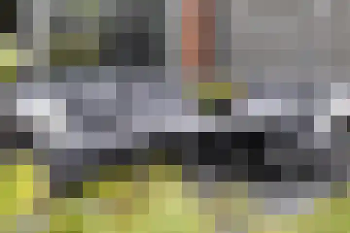 Notarisappel 36 Kampen thumbnail 27