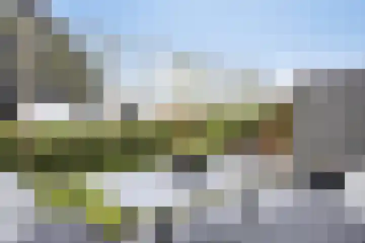 Notarisappel 36 Kampen thumbnail 28
