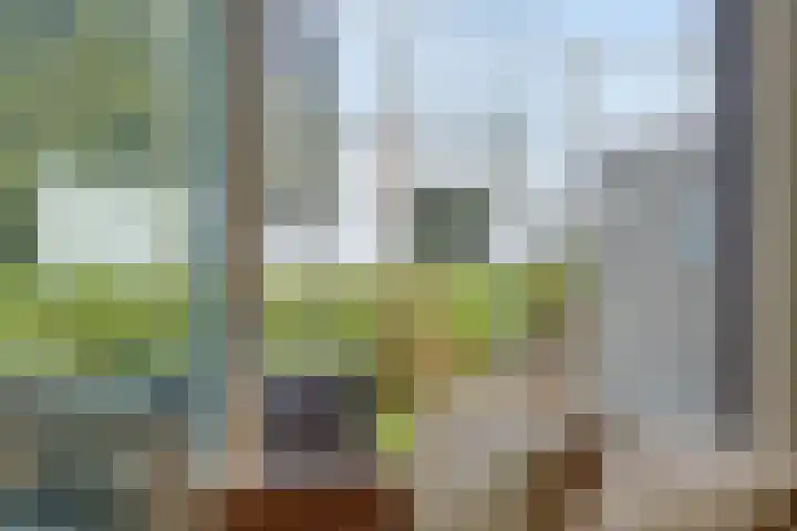 Notarisappel 36 Kampen thumbnail 4