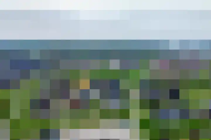 Notarisappel 36 Kampen thumbnail 5