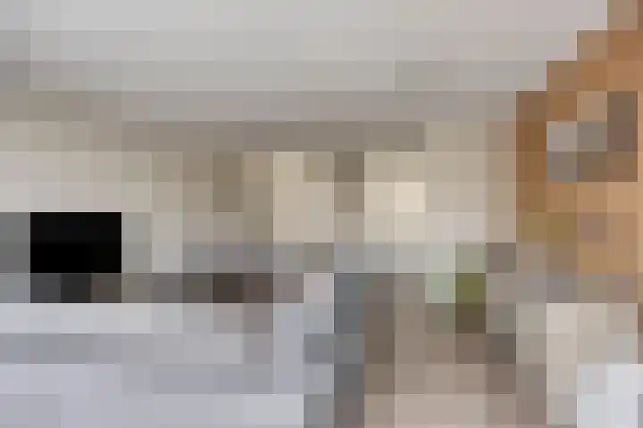 Notarisappel 4 Helden thumbnail 10