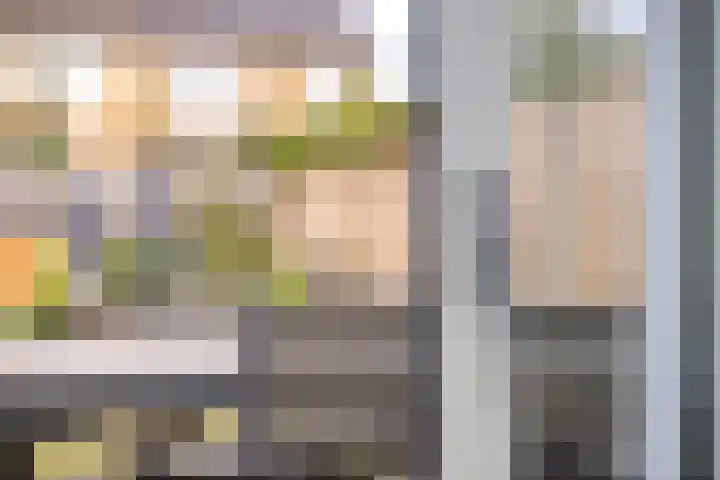 Notarisappel 4 Helden thumbnail 14
