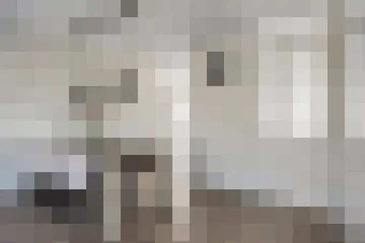 Notarisappel 4 Helden thumbnail 15