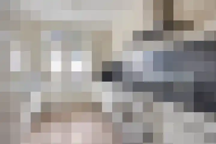 Notarisappel 4 Helden thumbnail 16