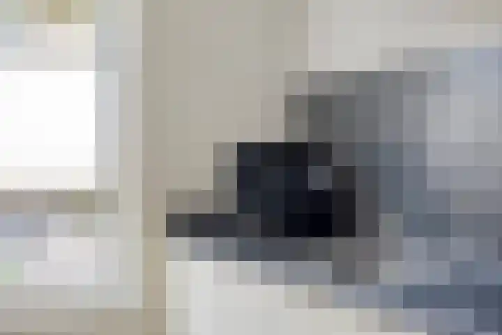Notarisappel 4 Helden thumbnail 17