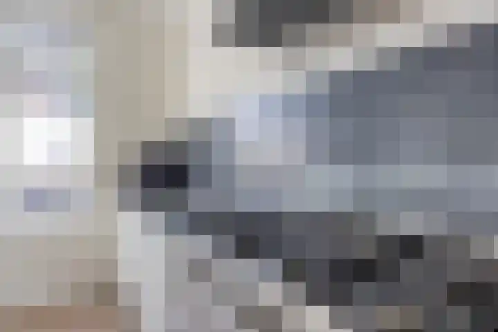 Notarisappel 4 Helden thumbnail 18