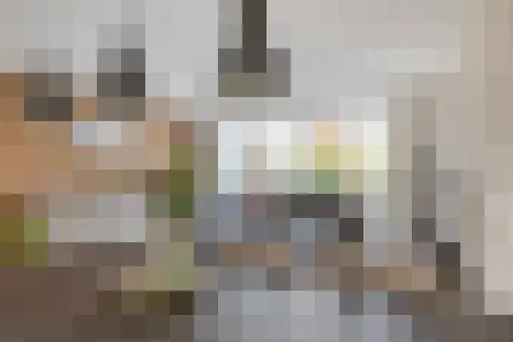 Notarisappel 4 Helden thumbnail 20