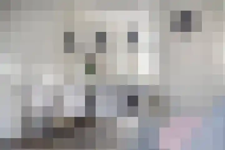 Notarisappel 4 Helden thumbnail 21