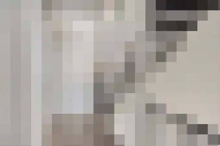 Notarisappel 4 Helden thumbnail 22
