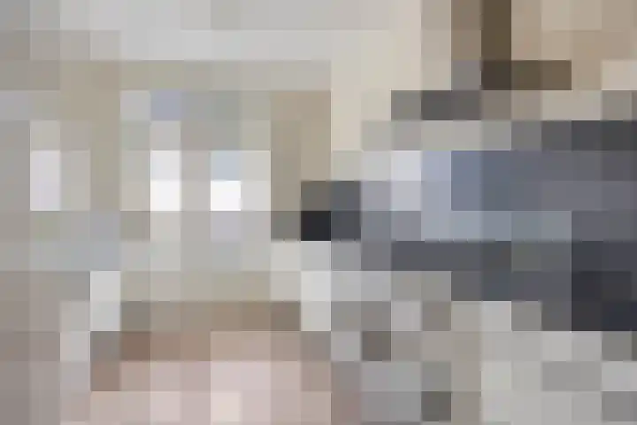 Notarisappel 4 Helden foto 3