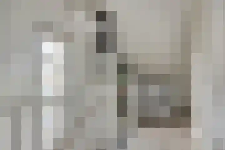 Notarisappel 4 Helden thumbnail 32