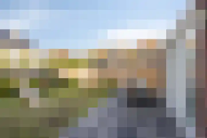 Notarisappel 4 Helden thumbnail 35