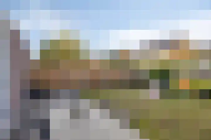 Notarisappel 4 Helden thumbnail 36