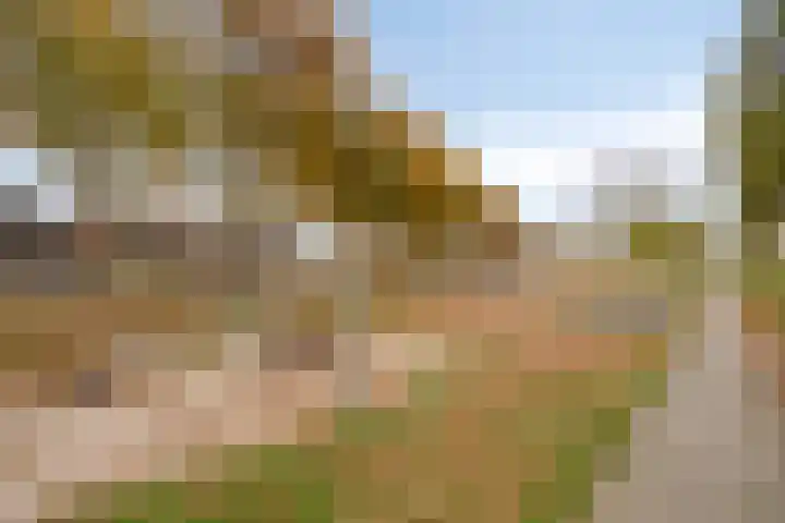 Notarisappel 4 Helden thumbnail 42