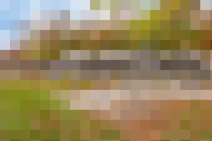 Notarisappel 4 Helden thumbnail 43