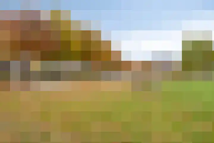 Notarisappel 4 Helden thumbnail 44