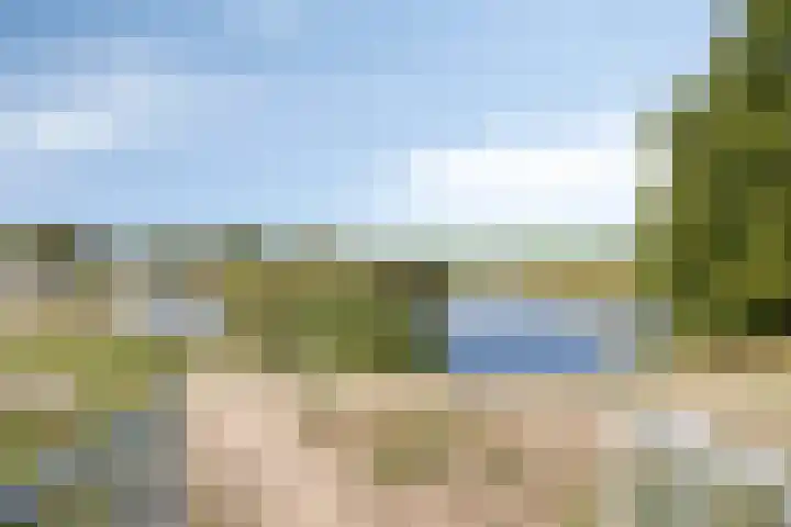 Notarisappel 4 Helden thumbnail 45