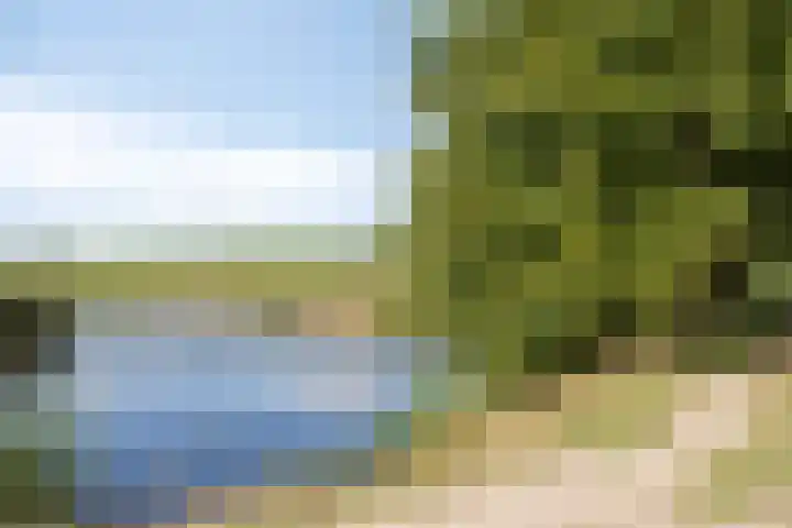 Notarisappel 4 Helden thumbnail 46