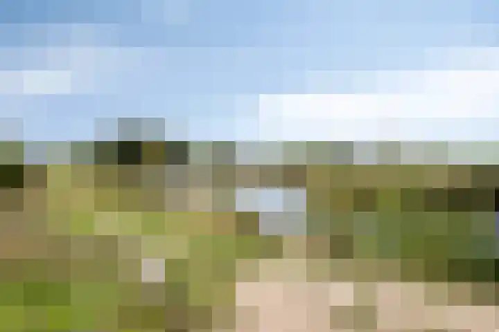 Notarisappel 4 Helden thumbnail 47