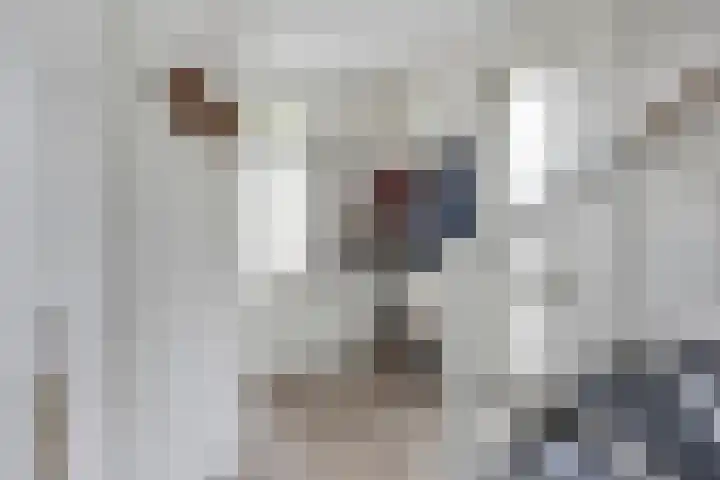 Notarisappel 4 Helden thumbnail 6