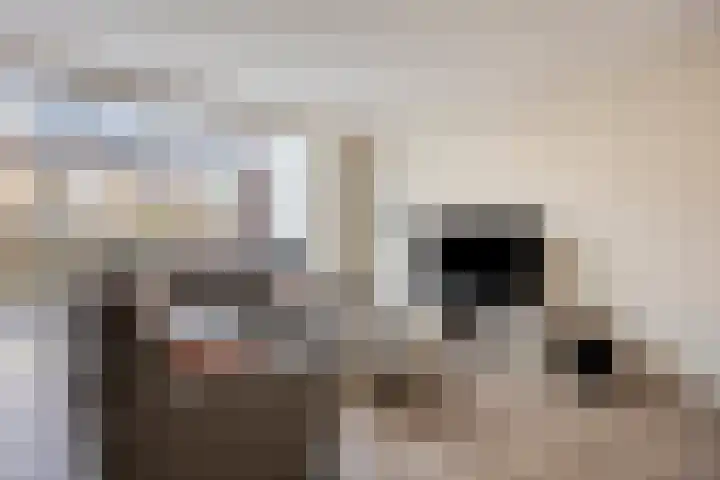 Notarisappel 4 Helden thumbnail 8