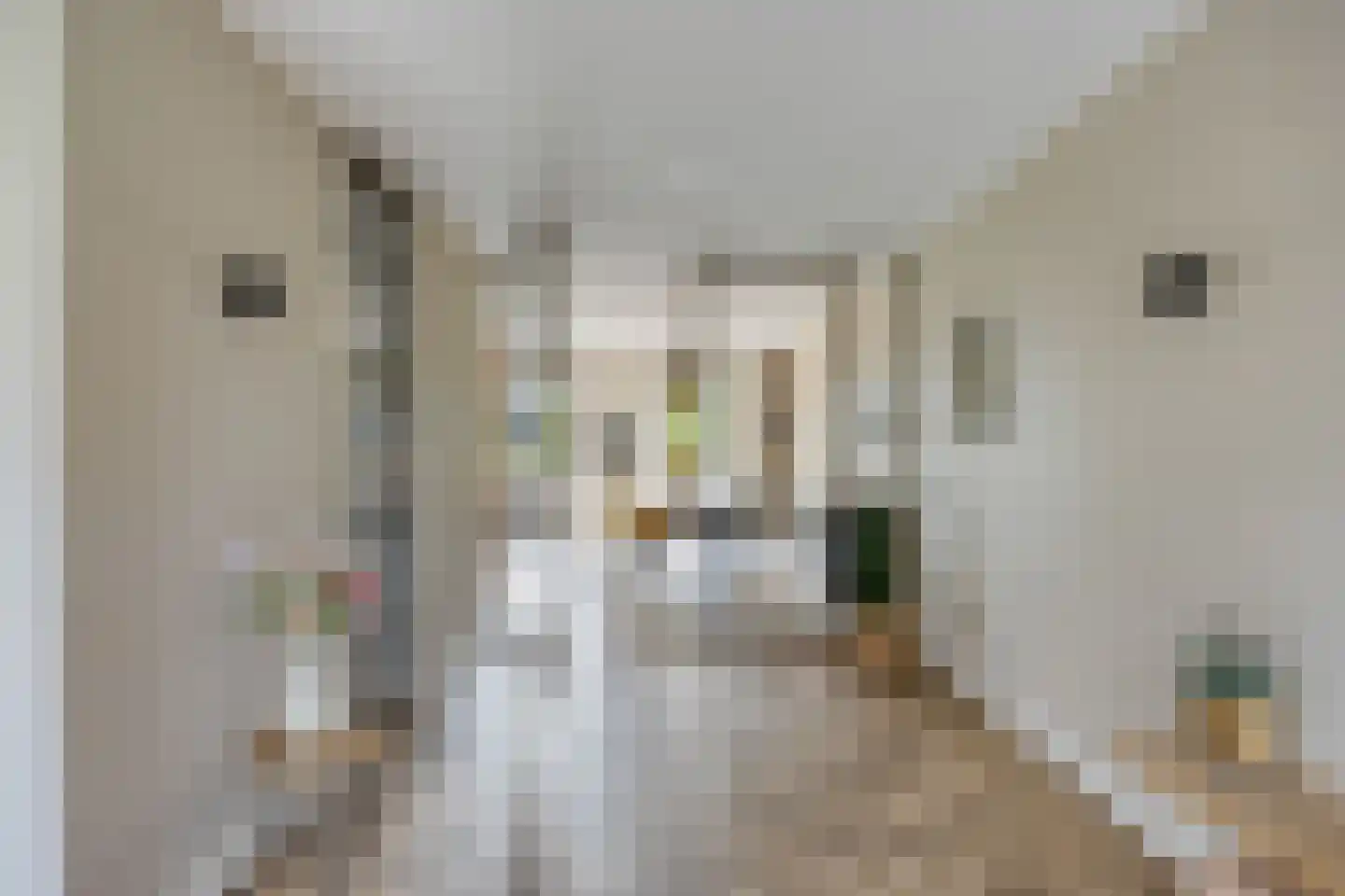 Notarisappel 42 Kampen thumbnail 15