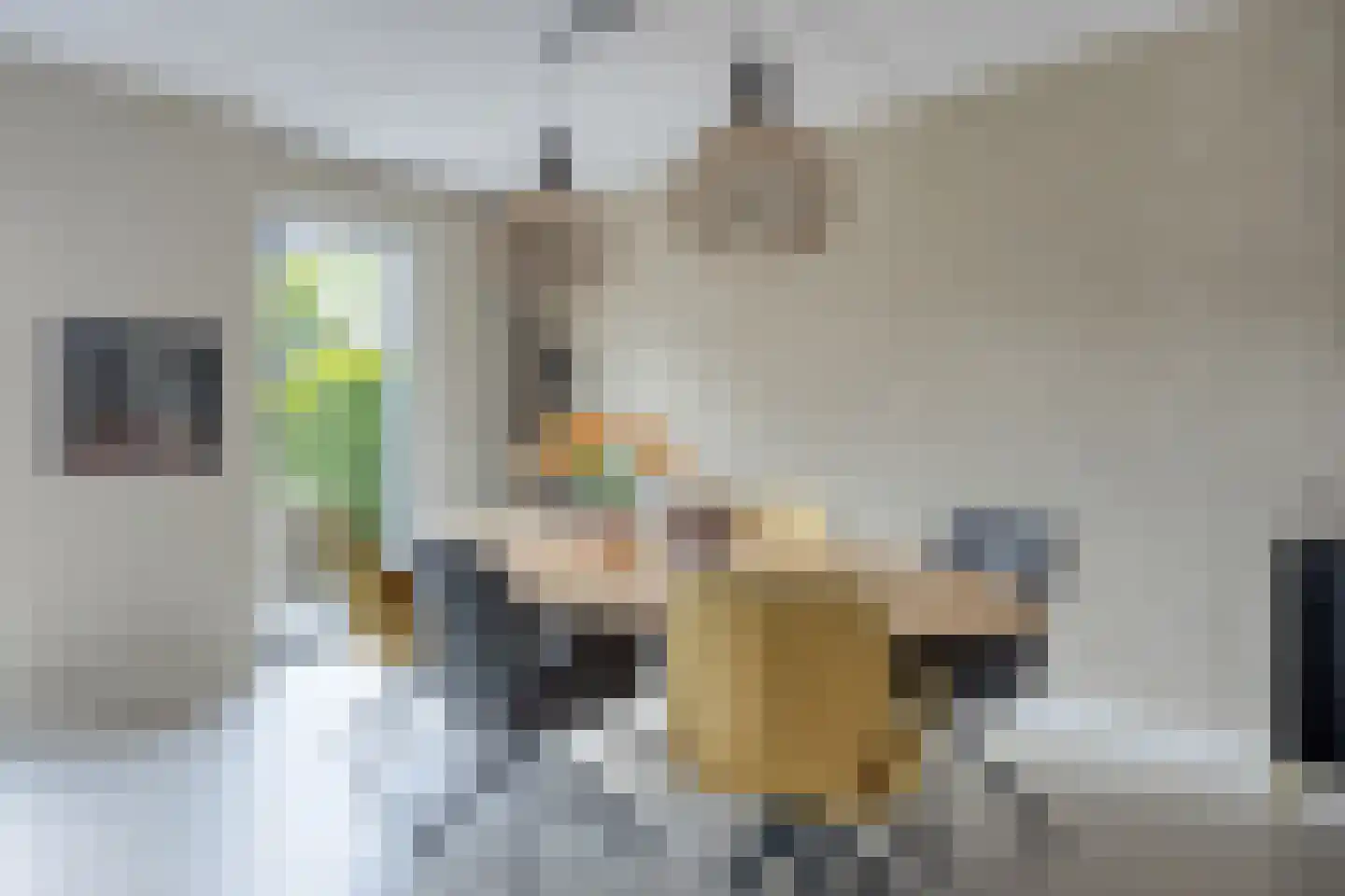 Notarisappel 42 Kampen thumbnail 16