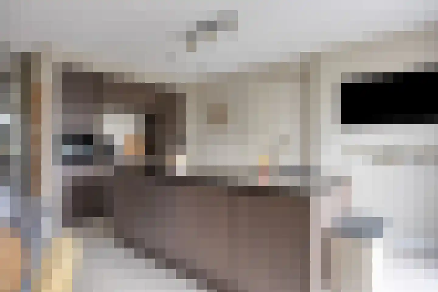 Notarisappel 42 Kampen thumbnail 21