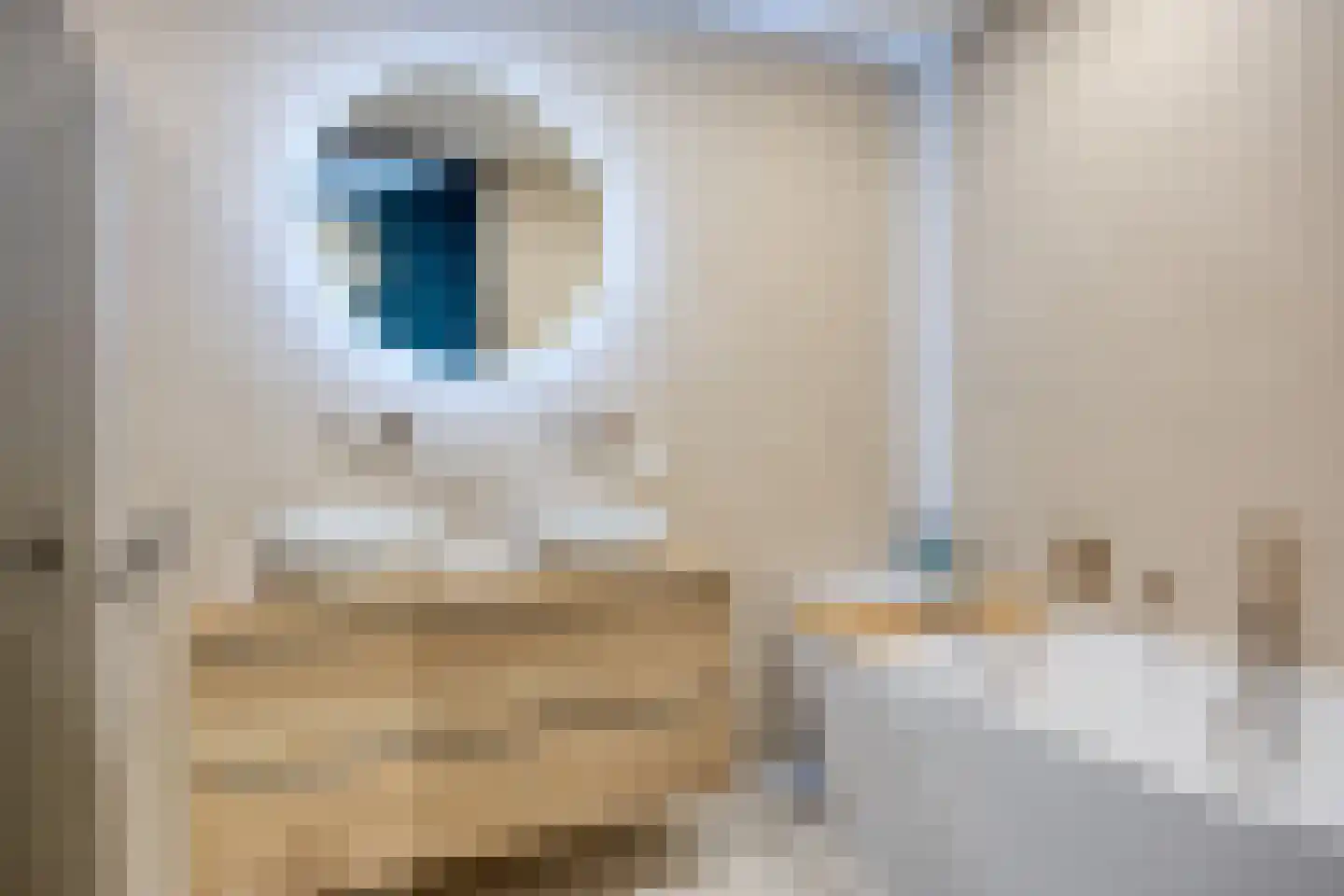 Notarisappel 42 Kampen thumbnail 30