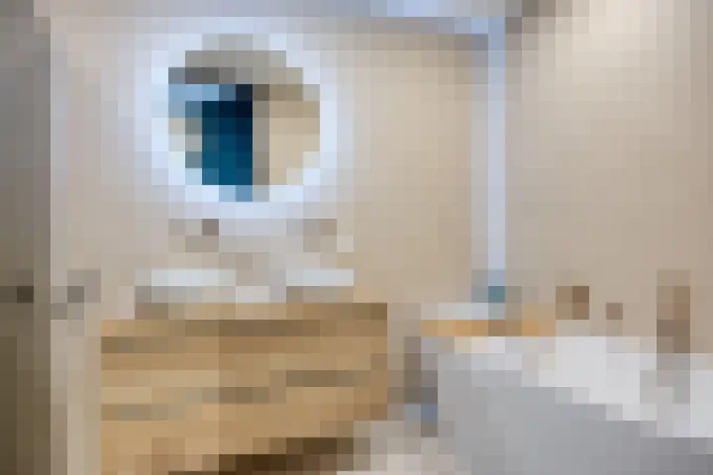 Notarisappel 42 Kampen thumbnail 5