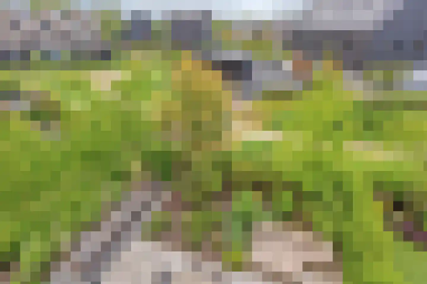 Notarisappel 42 Kampen thumbnail 6